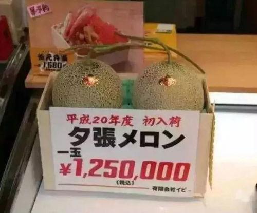 茫茫娱乐吃瓜