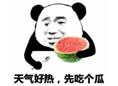微信吃瓜表情包怎么没有了,微信吃瓜表情包消失之谜揭秘