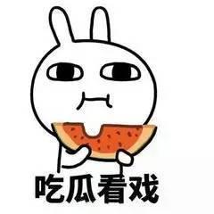 吃瓜群众下一句是什么,揭秘“吃瓜群众”背后的热议与真相
