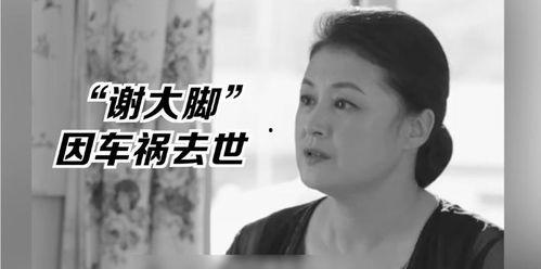 娱乐圈的瓜要理智吃,理智品味，揭秘明星幕后真相