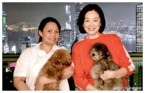 娱乐圈吃瓜预言是真的吗