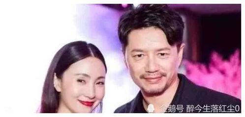 400页娱乐圈吃瓜合集